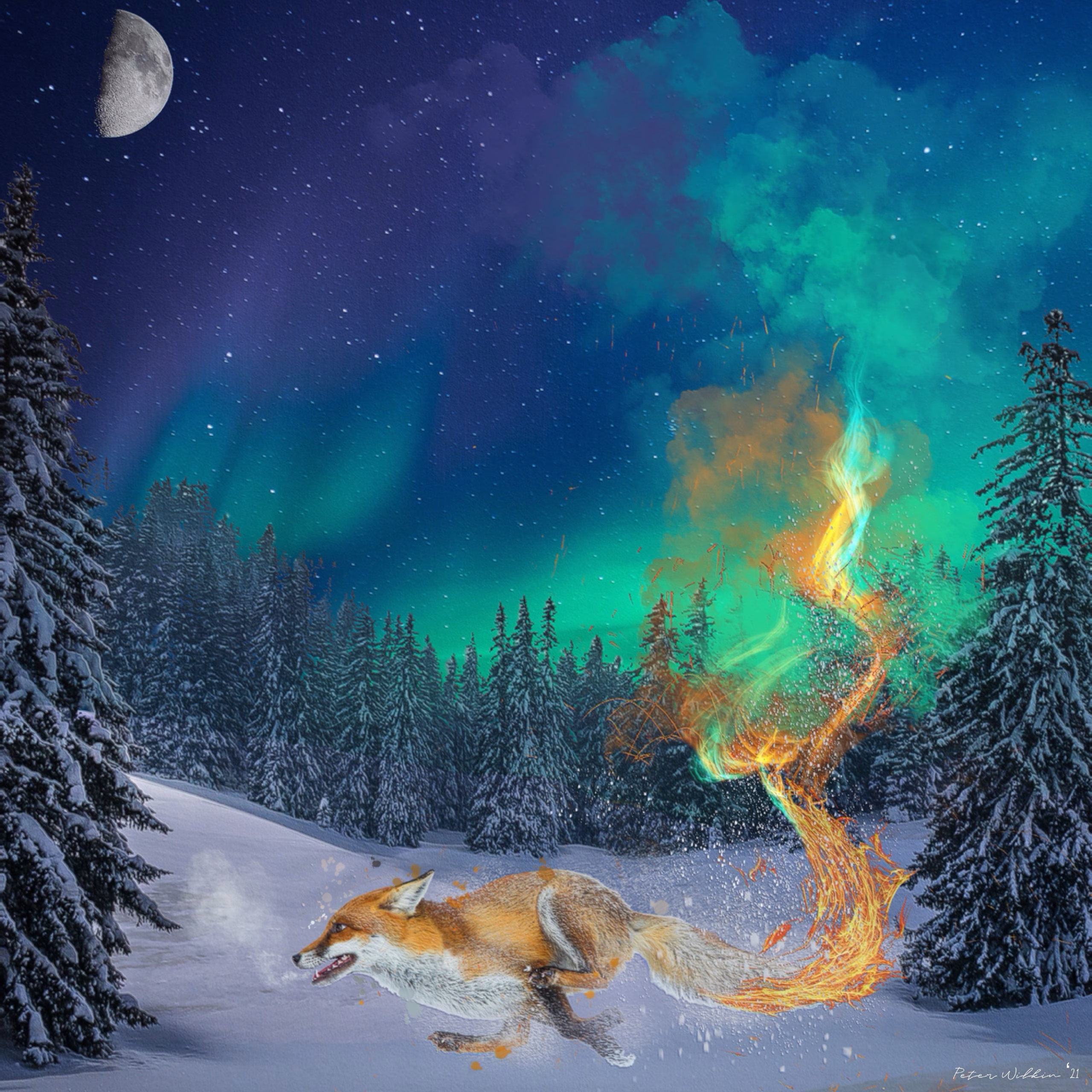 Foxfire